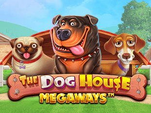 The Dog House Megaways game screenshot